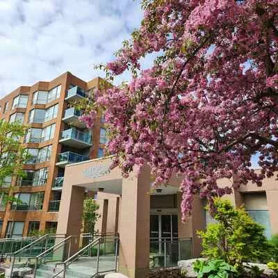 14924, Yonge, Aurora Heights, Aurora