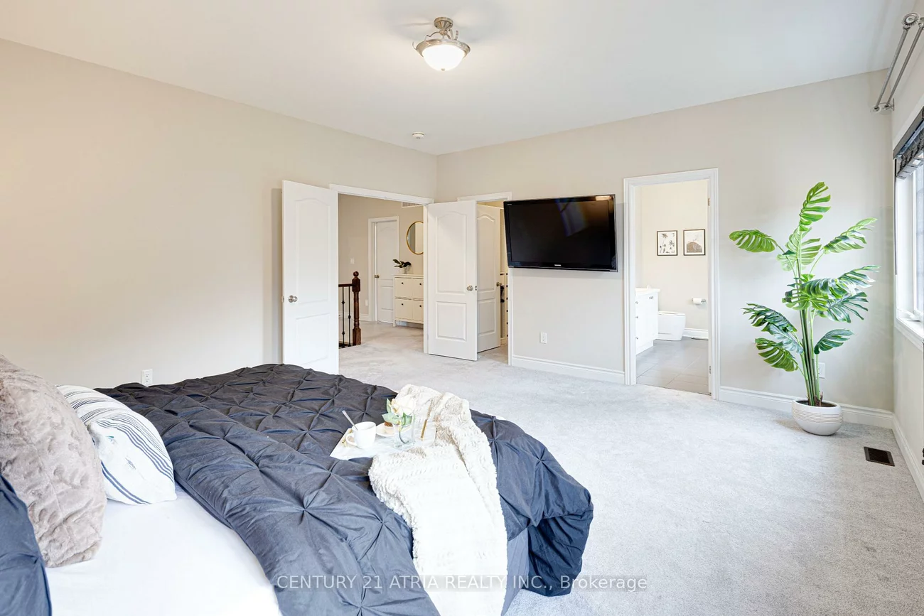 19, Match Point, Aurora Grove, Aurora