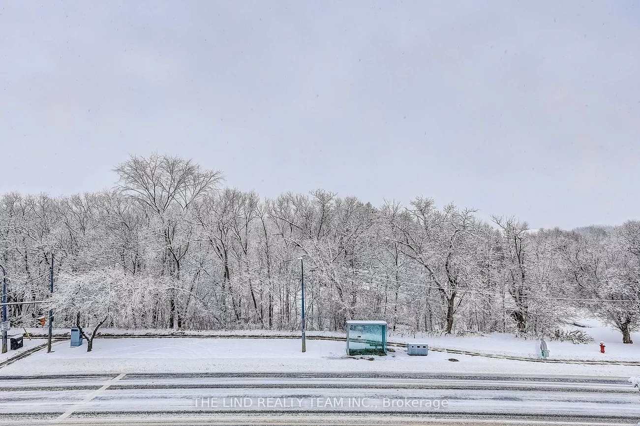 21, George, Aurora Village, Aurora