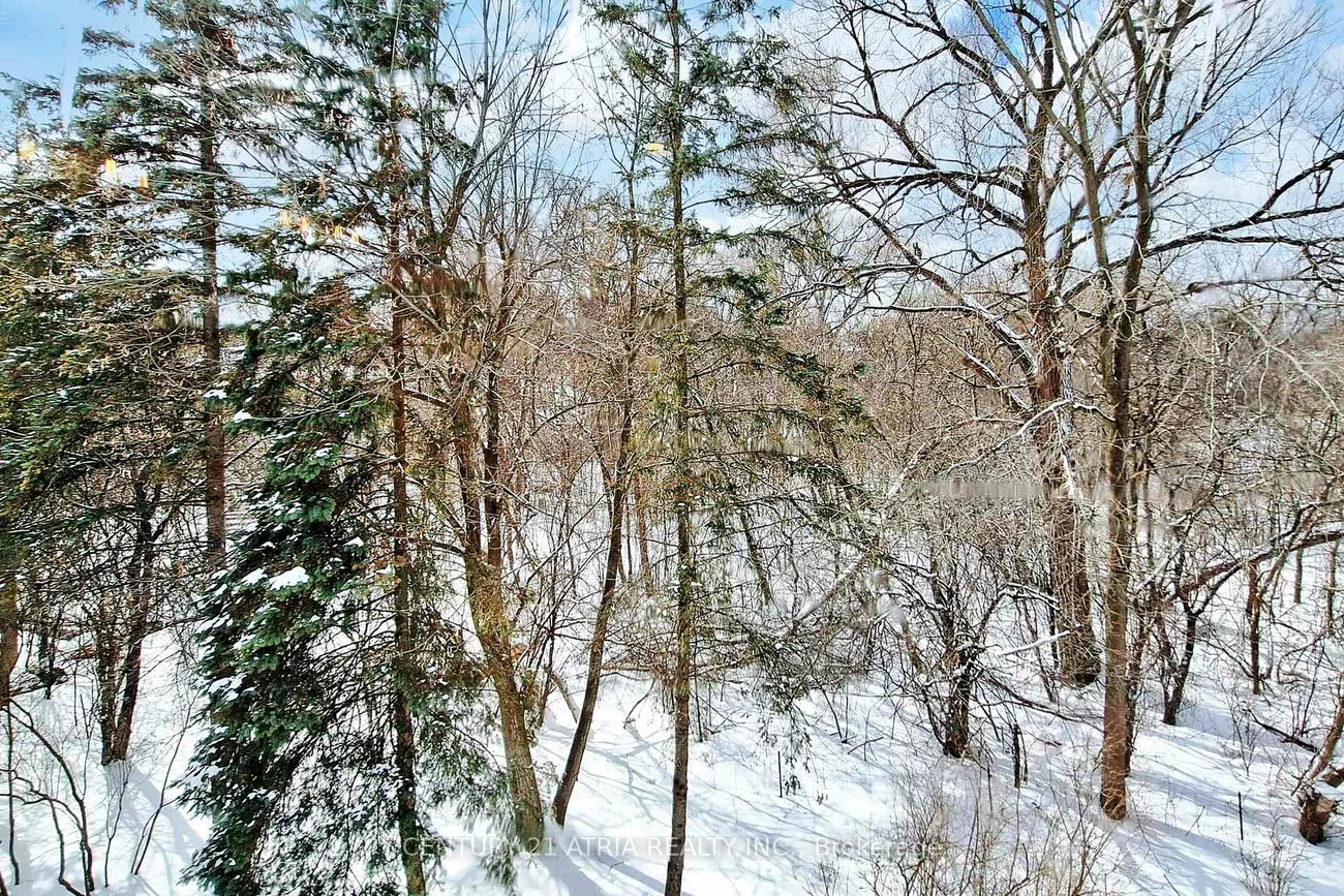 35, Anderson, Aurora Highlands, Aurora