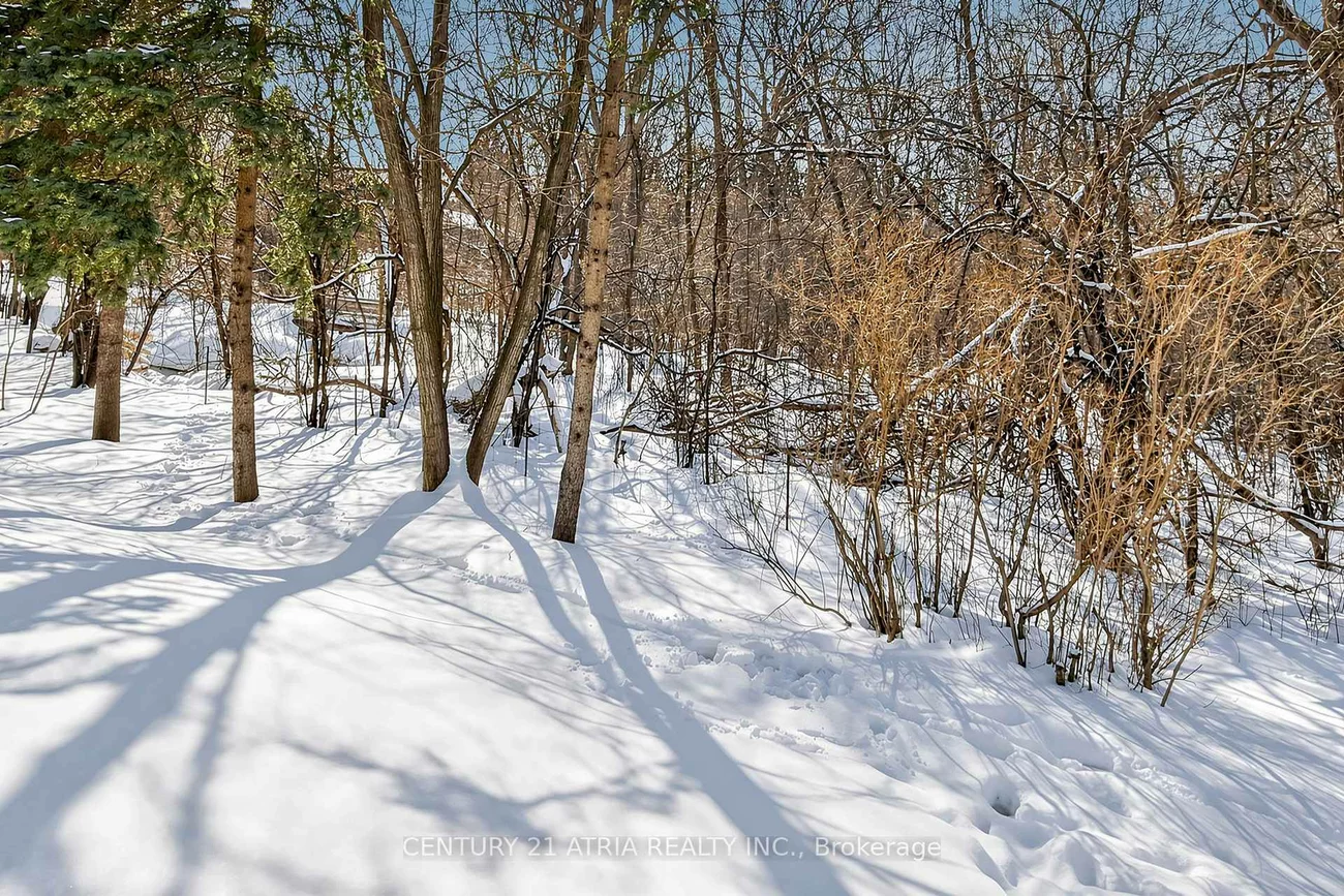 35, Anderson, Aurora Highlands, Aurora