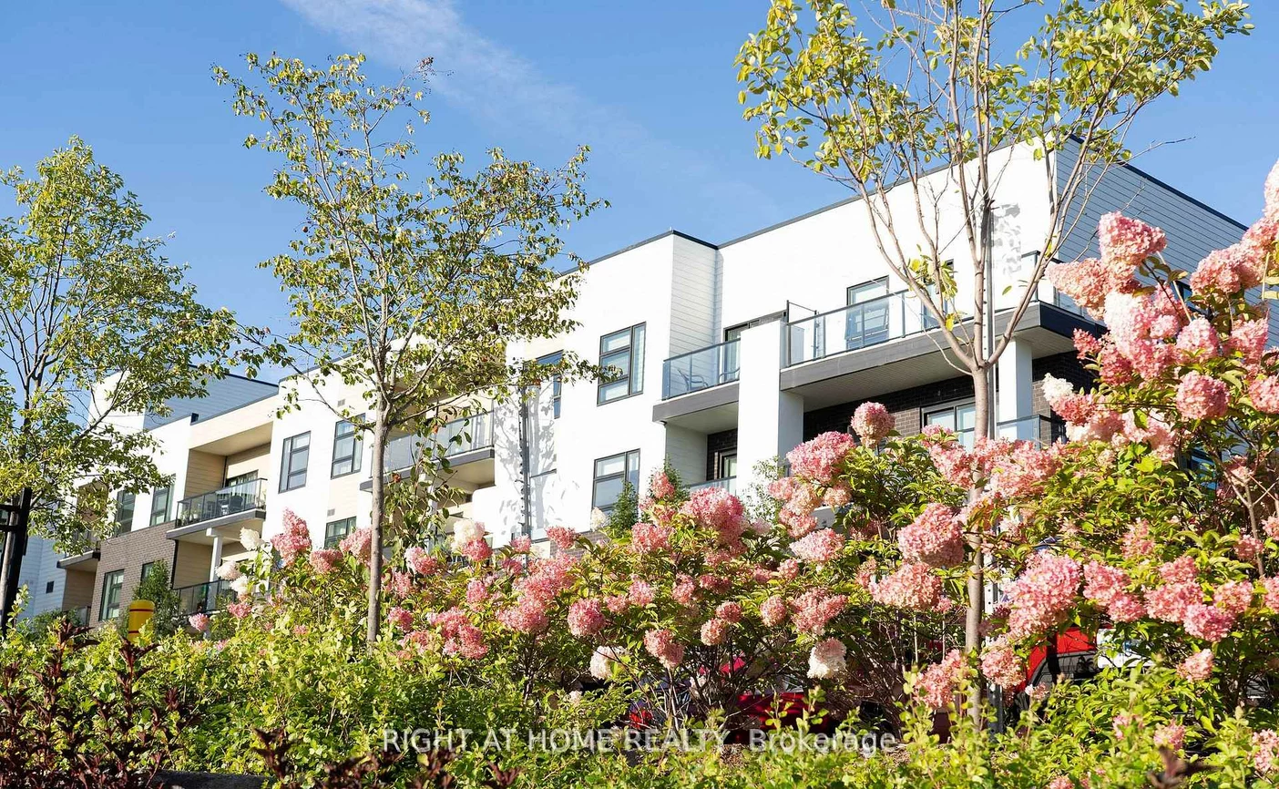 555, William Graham, Rural Aurora, Aurora