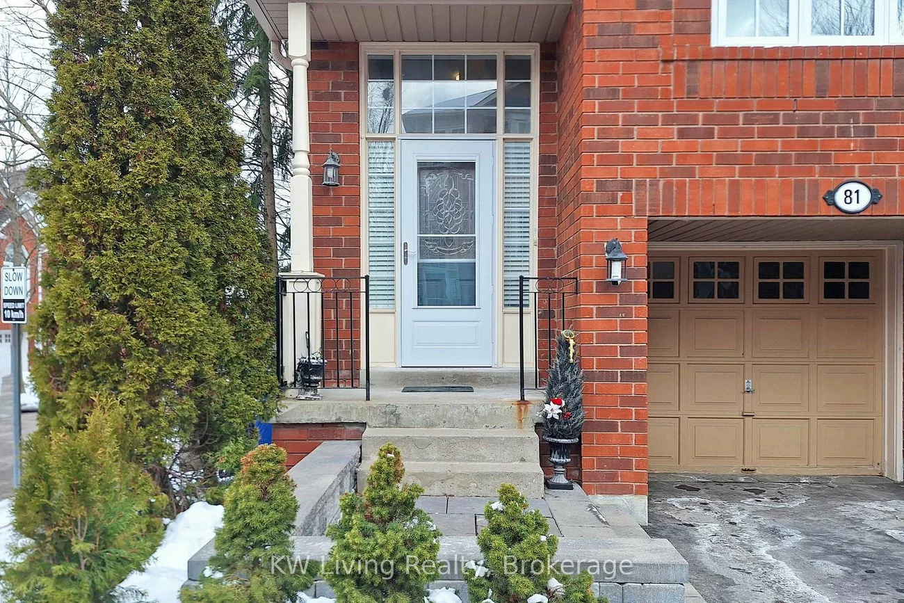 81, Mosaics, Aurora Highlands, Aurora