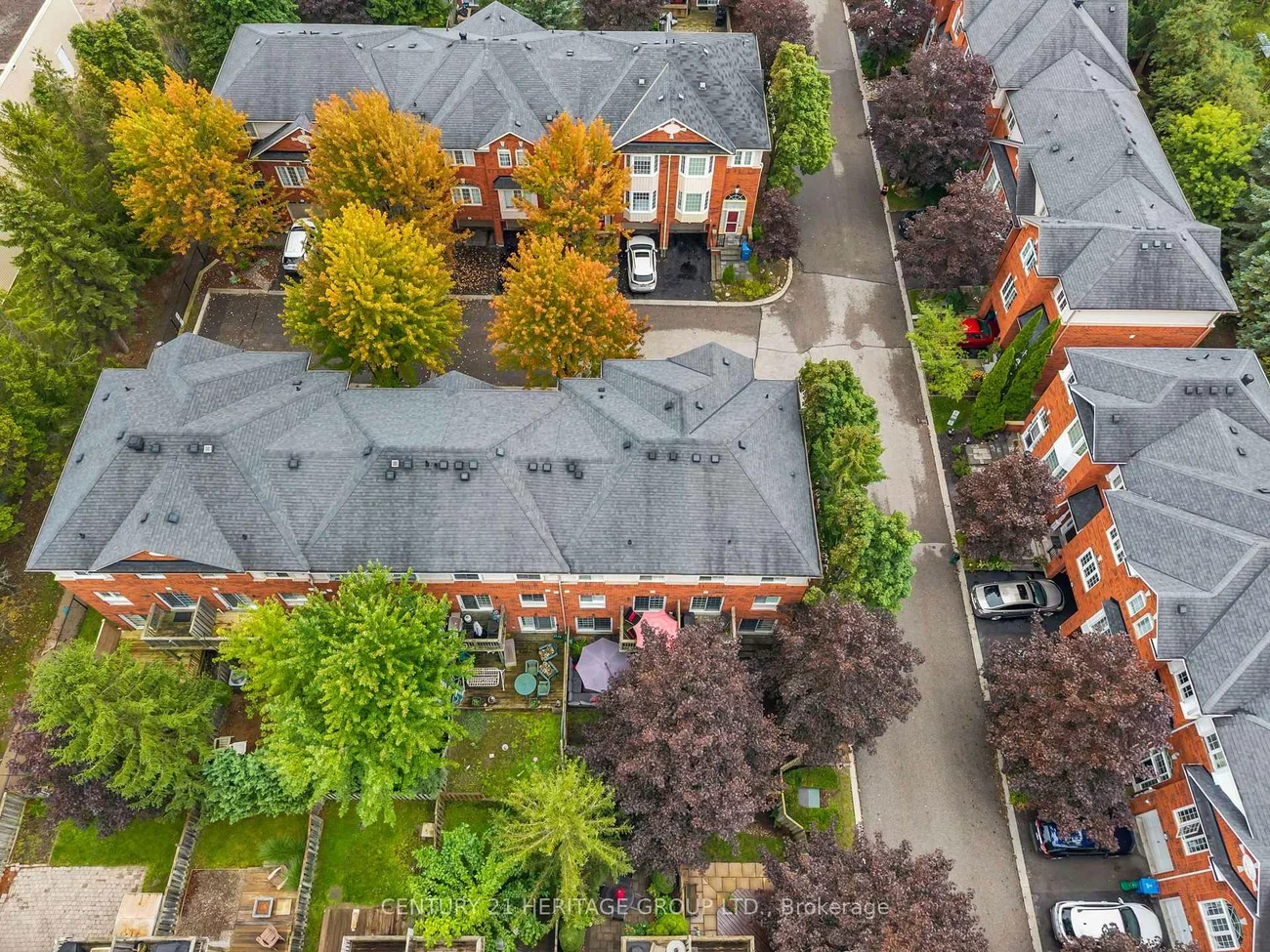 83, Mosaics, Aurora Highlands, Aurora