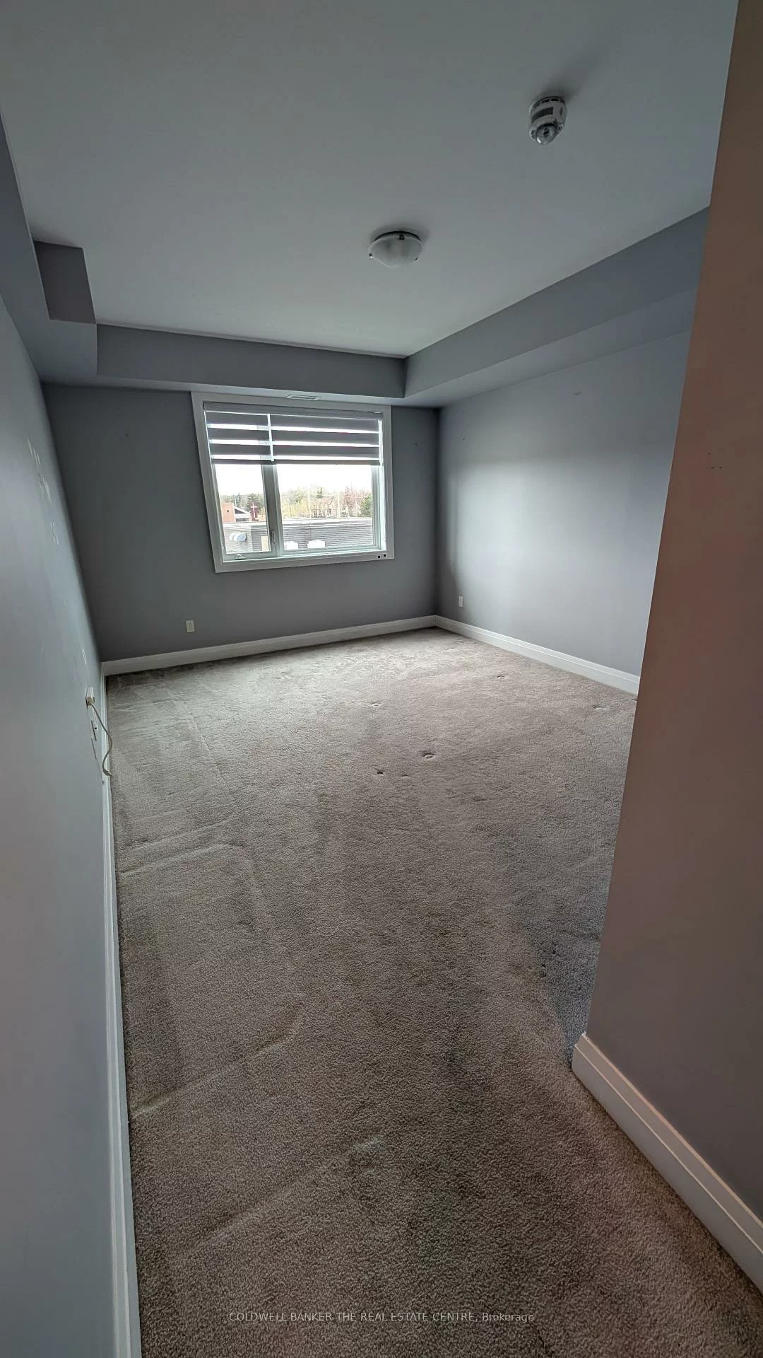 295, Cundles, Alliance, Barrie