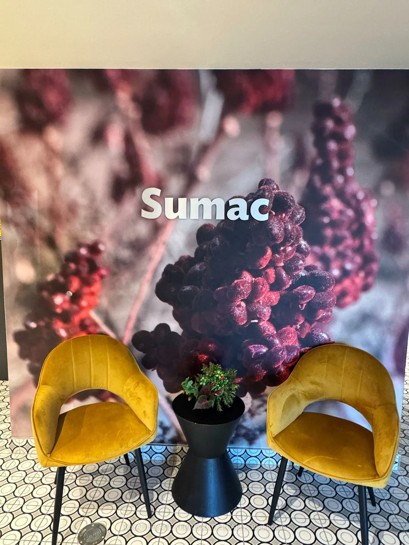 4, Spice, Rural Barrie Southeast, Barrie