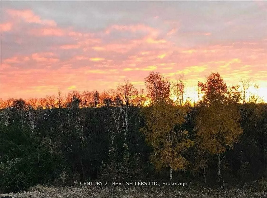 5, CHEF, Rural Barrie Southeast, Barrie