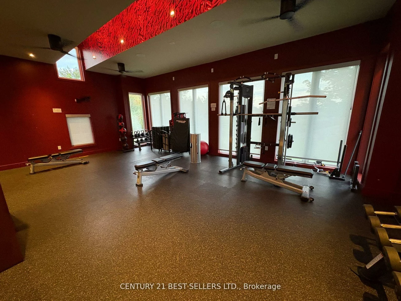 5, CHEF, Rural Barrie Southeast, Barrie