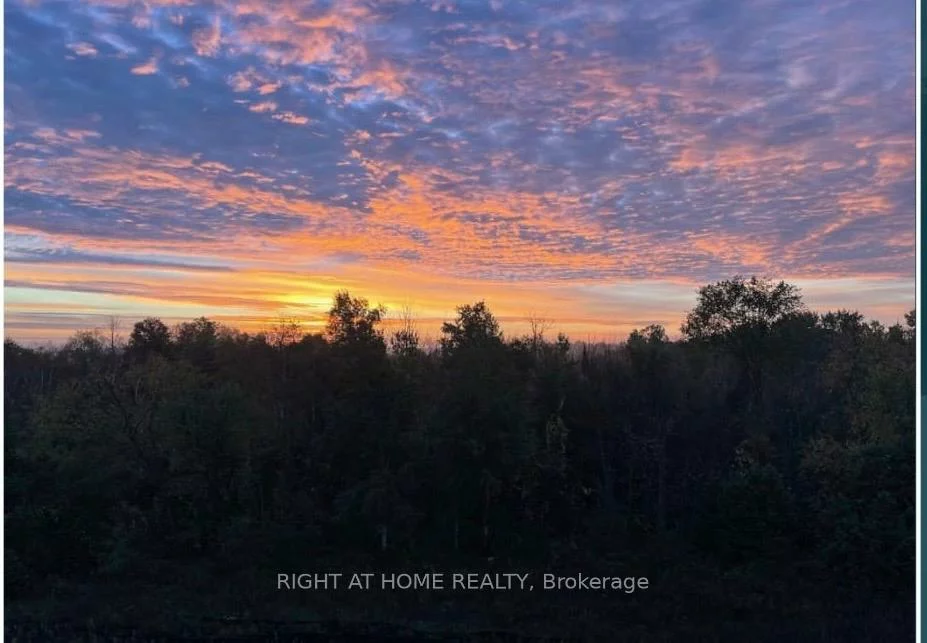 5, Chef, Innis-Shore, Barrie