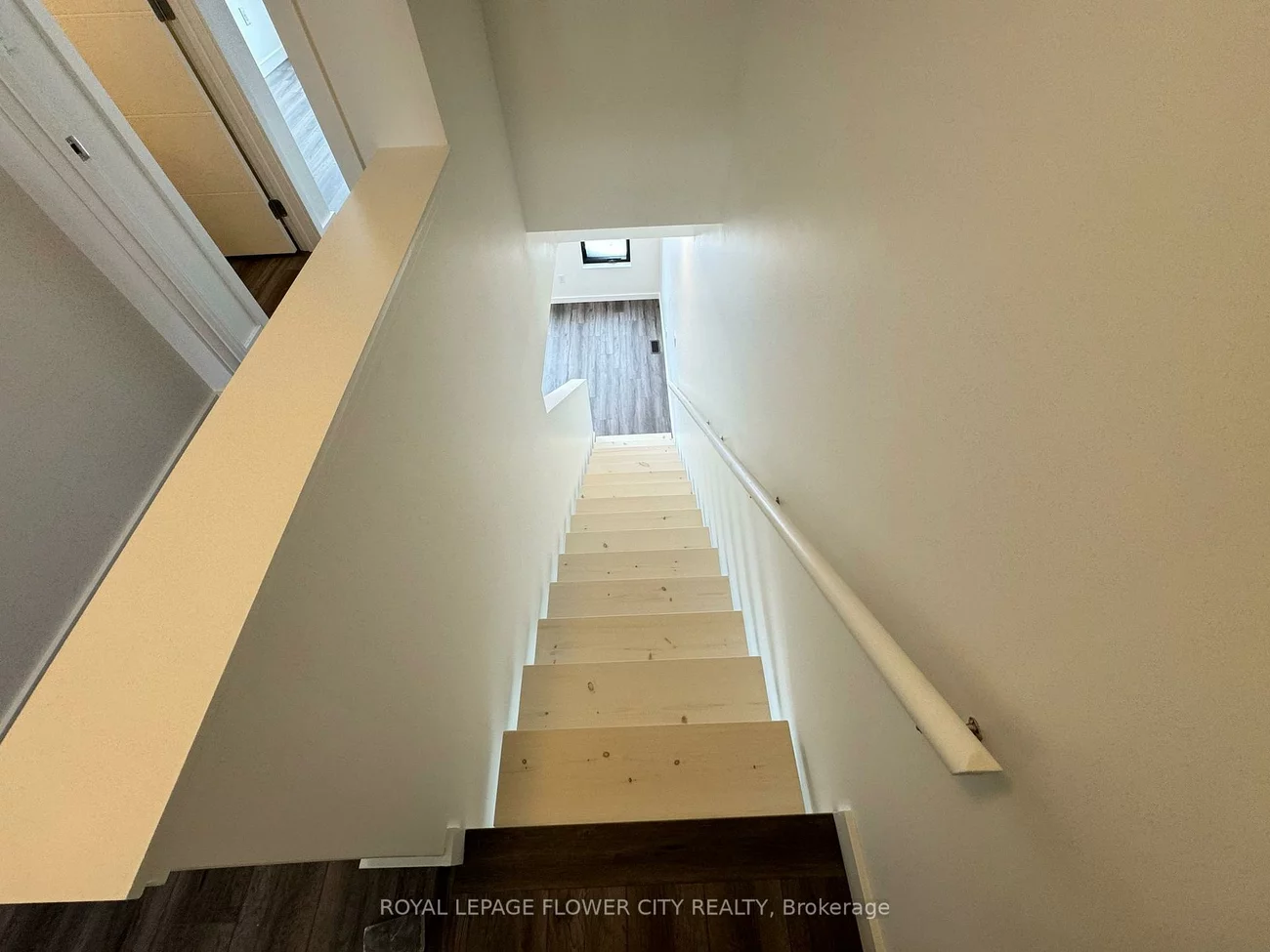 9, Rainwater, Holly, Barrie