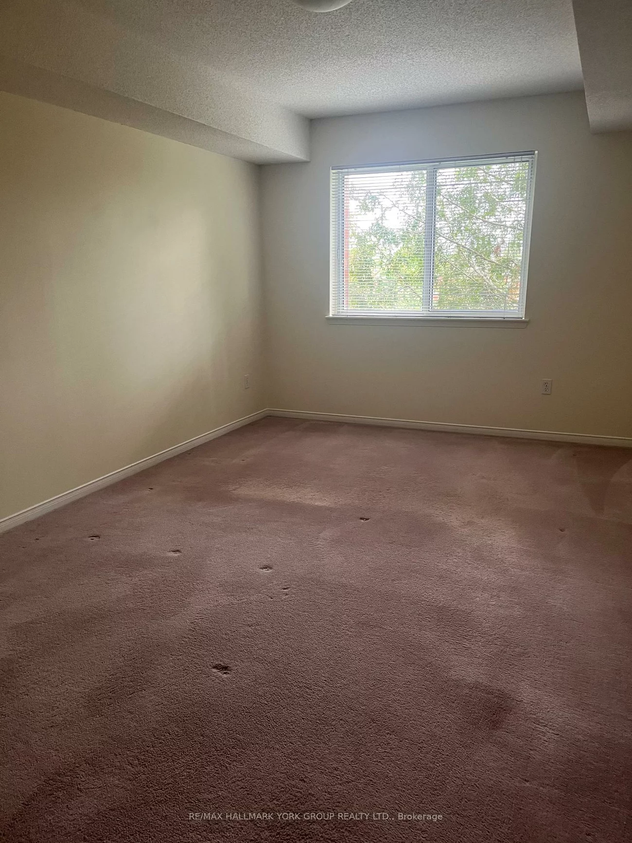 143, Edgehill, Letitia Heights, Barrie