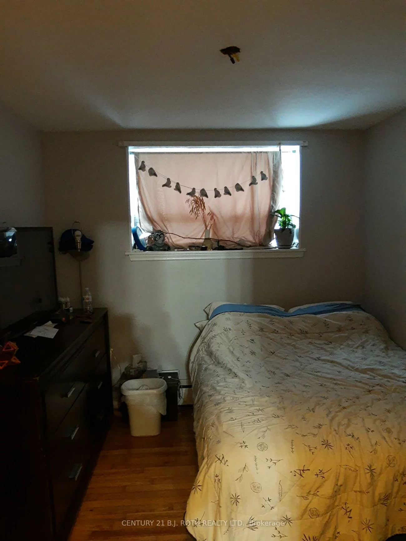 13, Queen, Codrington, Barrie