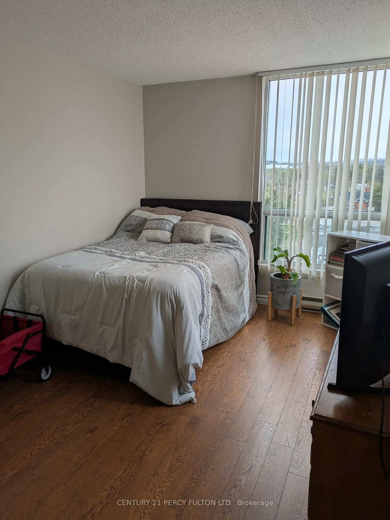 75, Ellen, Lakeshore, Barrie