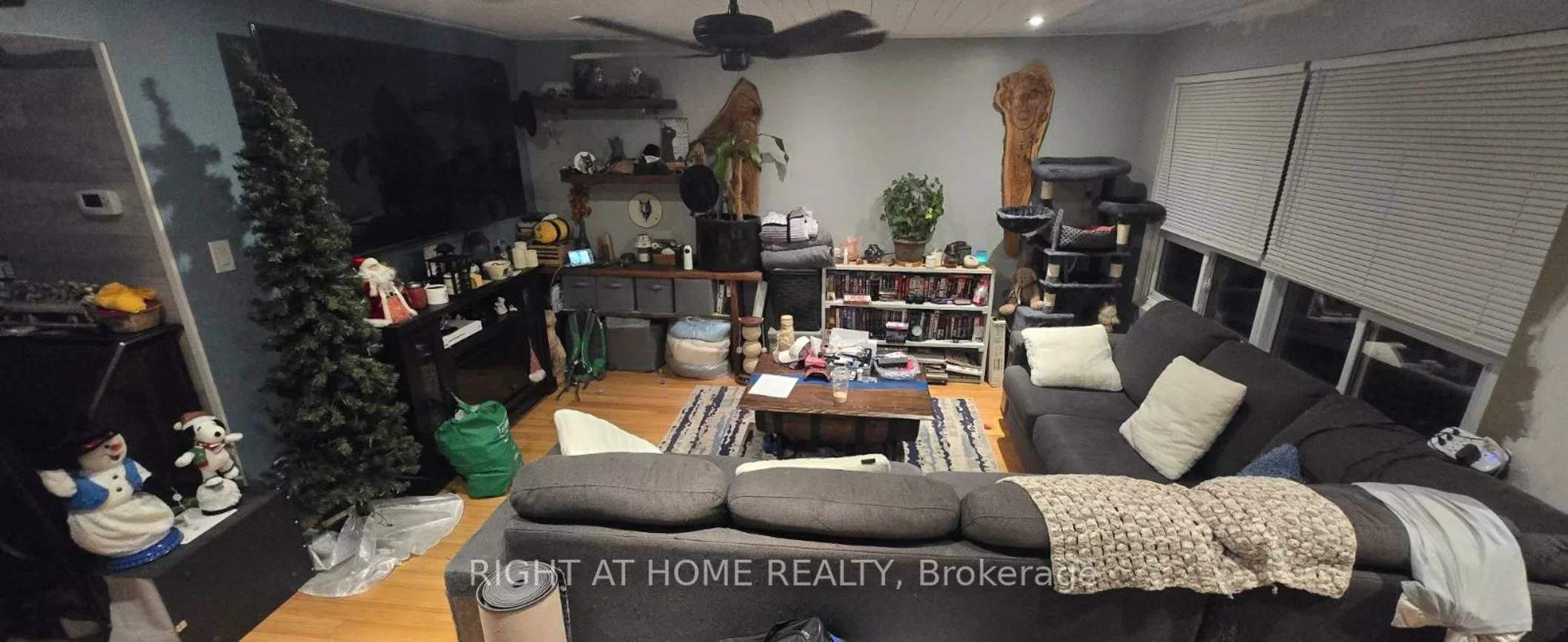 63, Ferris, Cundles East, Barrie