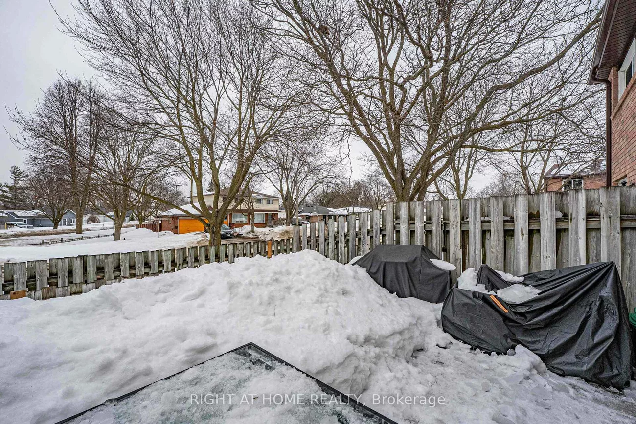 52, Adelaide, Allandale, Barrie