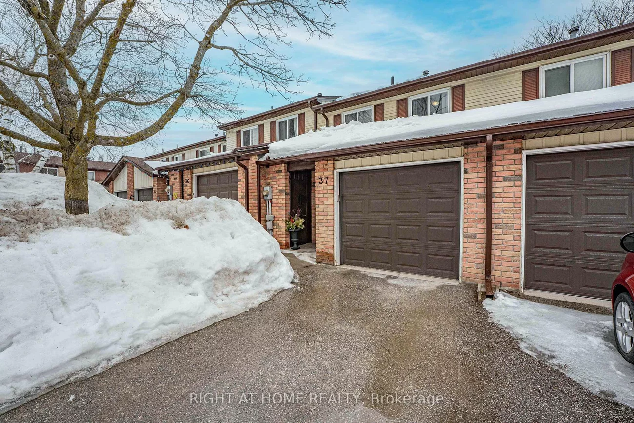 52, Adelaide, Allandale, Barrie