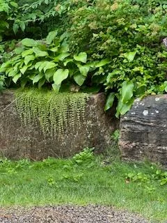 52, Adelade, Allandale, Barrie