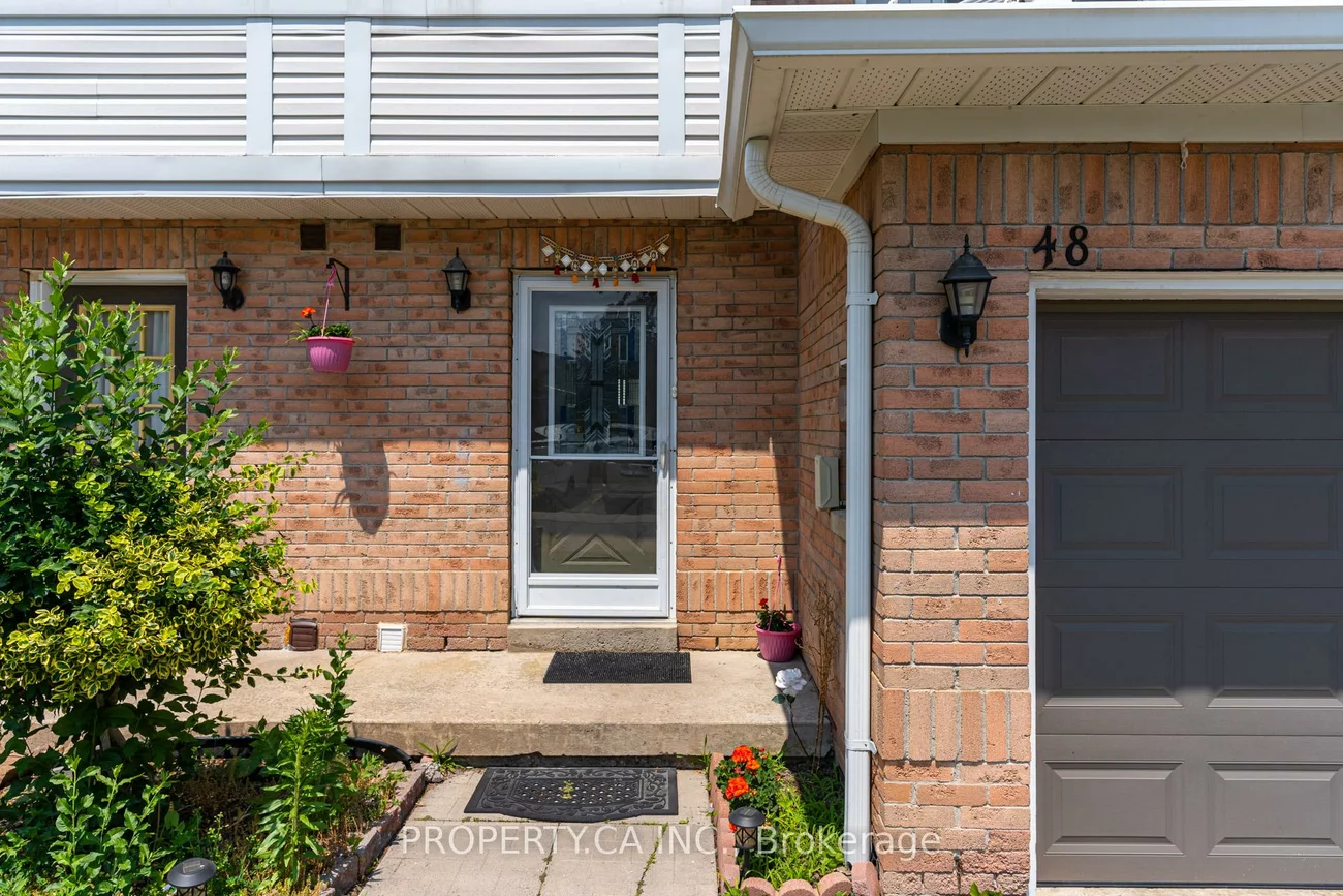 48, Brisbane, Sandringham-Wellington, Brampton