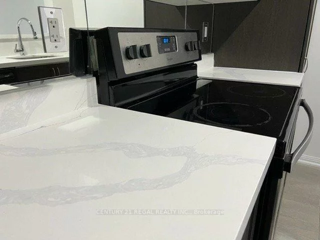 250, Sunny Meadow, Sandringham-Wellington, Brampton