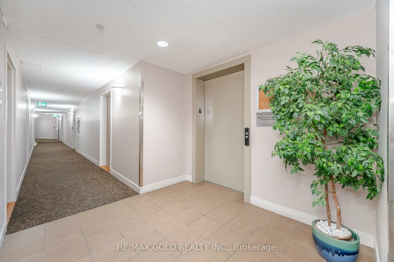 8, Dayspring, Goreway Drive Corridor, Brampton