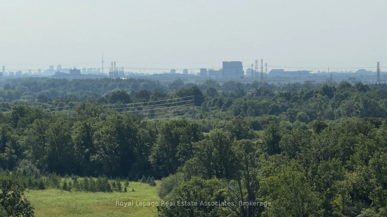 65, Yorkland, Goreway Drive Corridor, Brampton