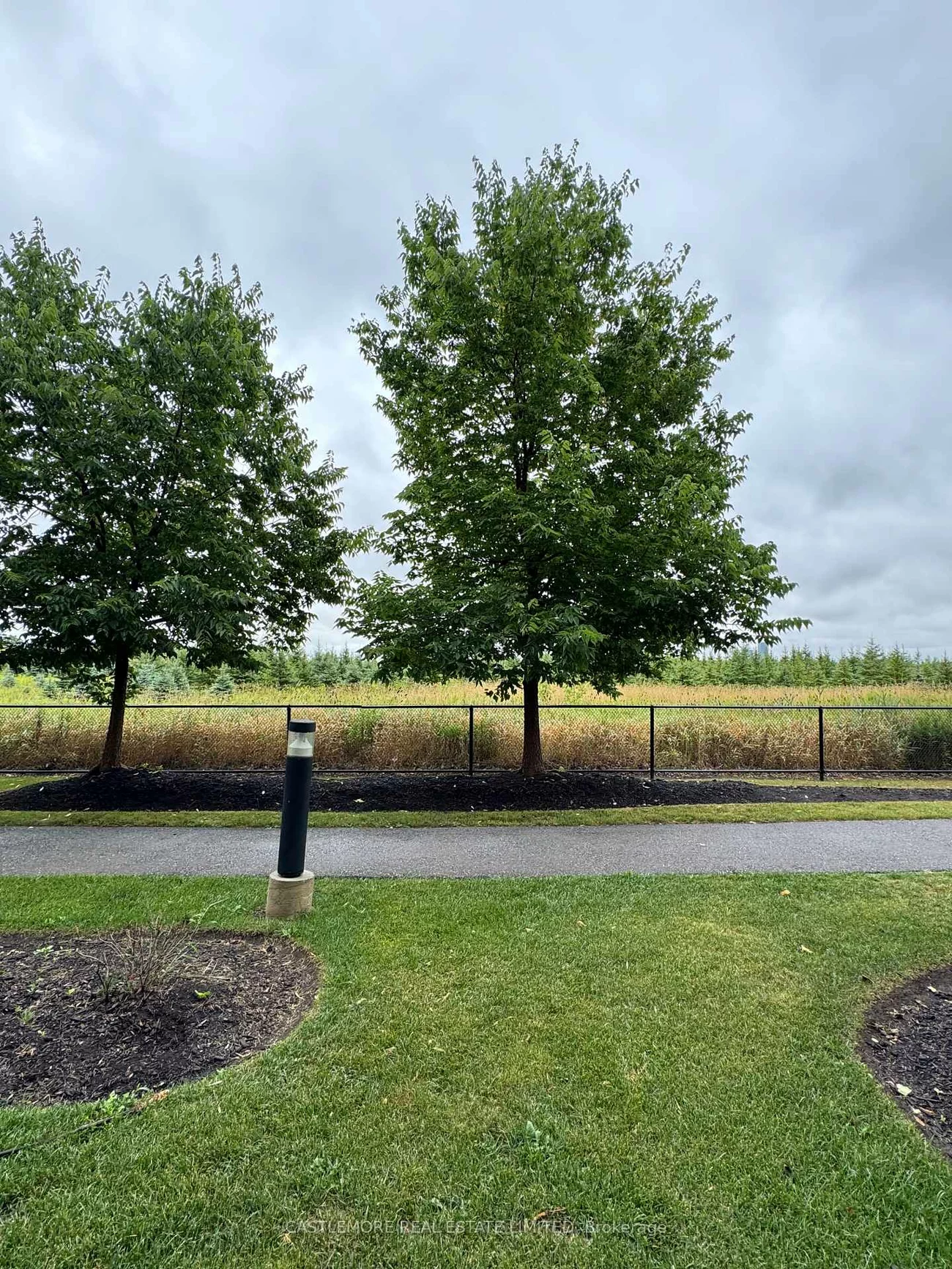 45, Yorkland, Goreway Drive Corridor, Brampton