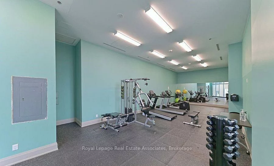 65, Yorkland, Goreway Drive Corridor, Brampton