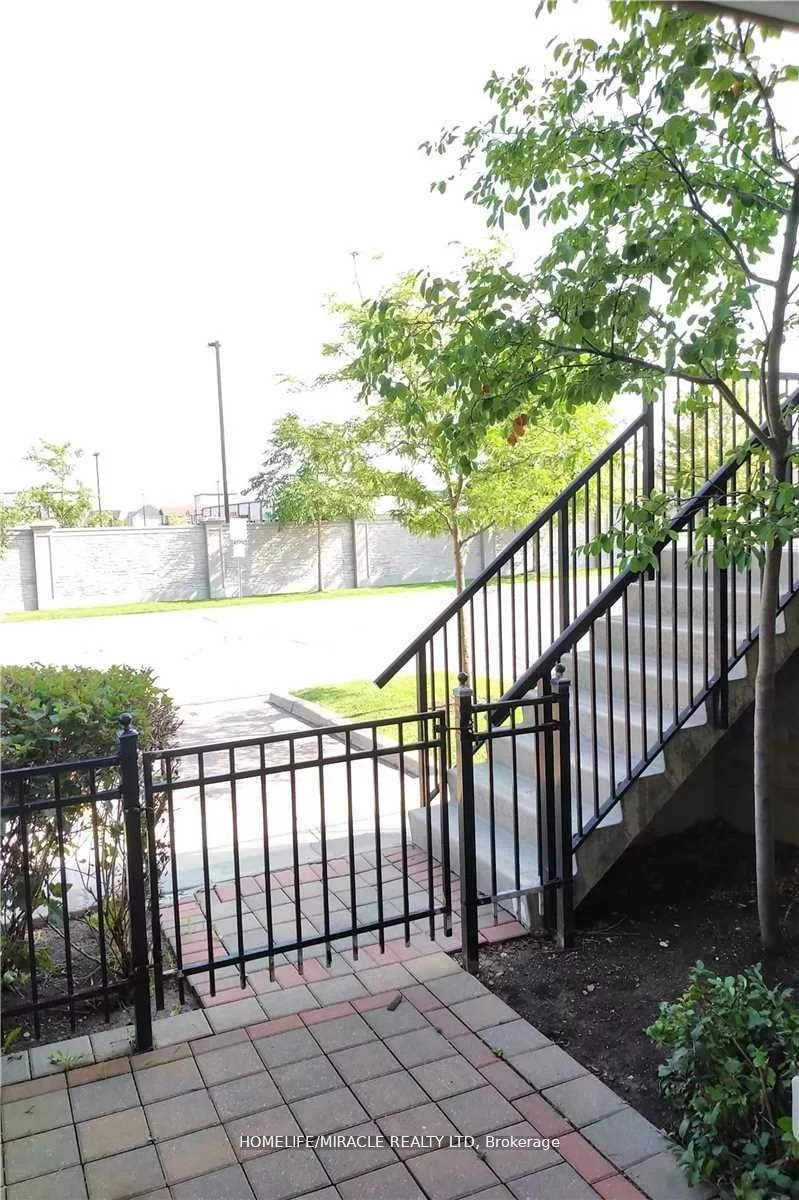 60, Fairwood, Sandringham-Wellington, Brampton