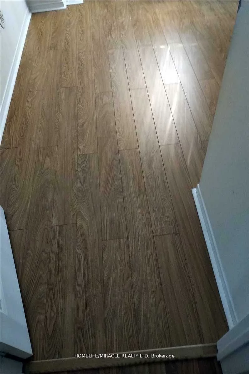 60, Fairwood, Sandringham-Wellington, Brampton