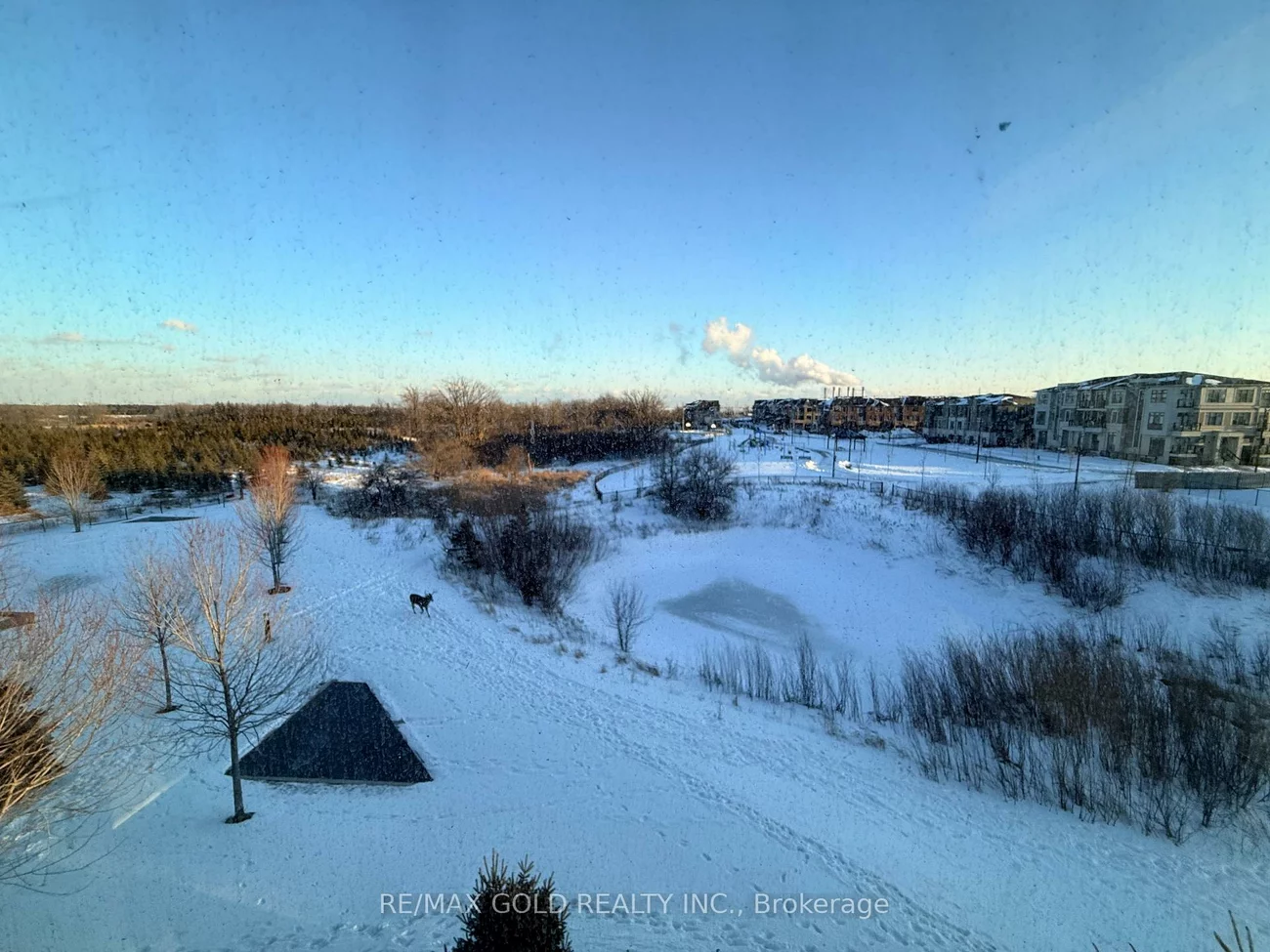 65, Yorkland, Goreway Drive Corridor, Brampton