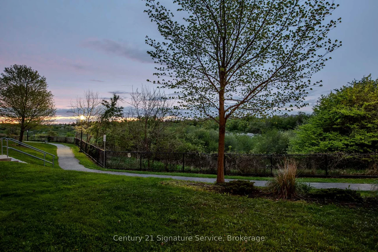 8, Dayspring, Goreway Drive Corridor, Brampton