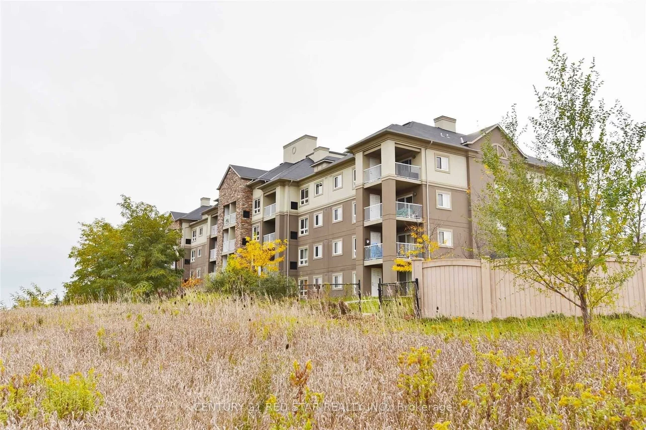 6, Dayspring, Goreway Drive Corridor, Brampton