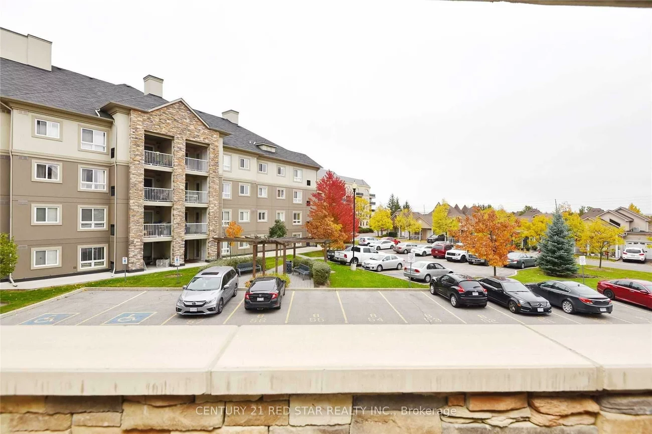 6, Dayspring, Goreway Drive Corridor, Brampton