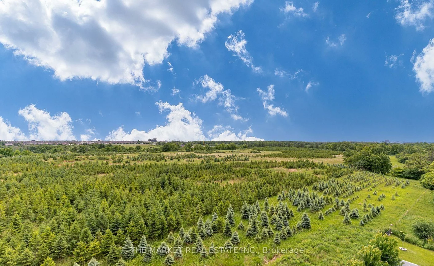 65, Yorkland, Goreway Drive Corridor, Brampton