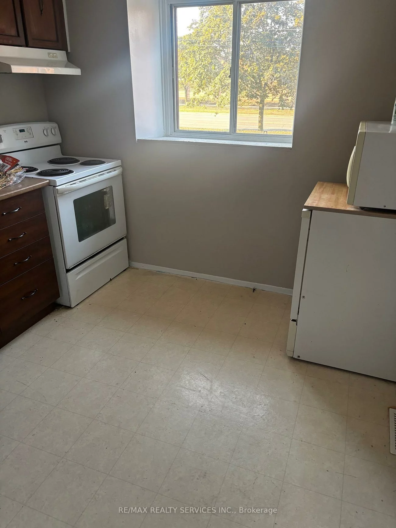 119, Moregate, Central Park, Brampton