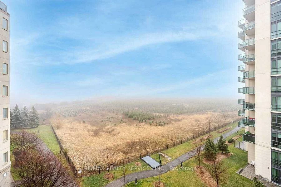 10, Dayspring, Goreway Drive Corridor, Brampton