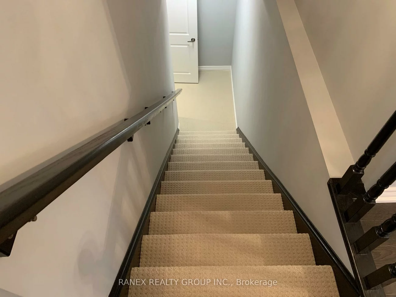 20, Muzzo, Sandringham-Wellington, Brampton