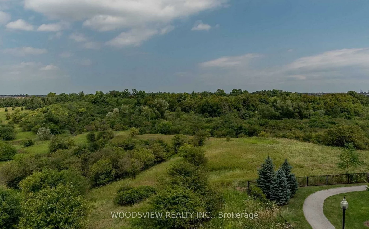6, Dayspring, Goreway Drive Corridor, Brampton