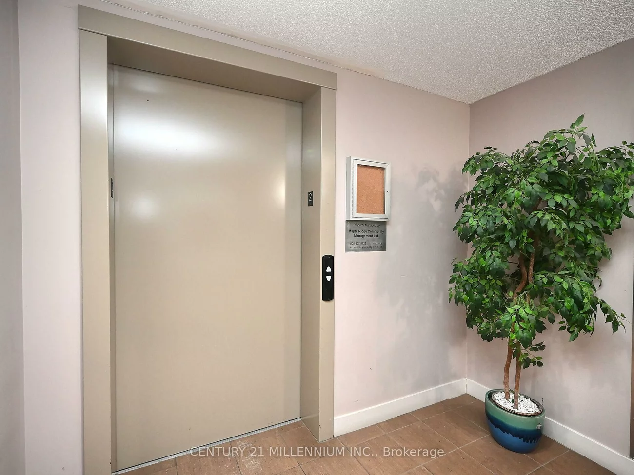 8, Dayspring, Goreway Drive Corridor, Brampton