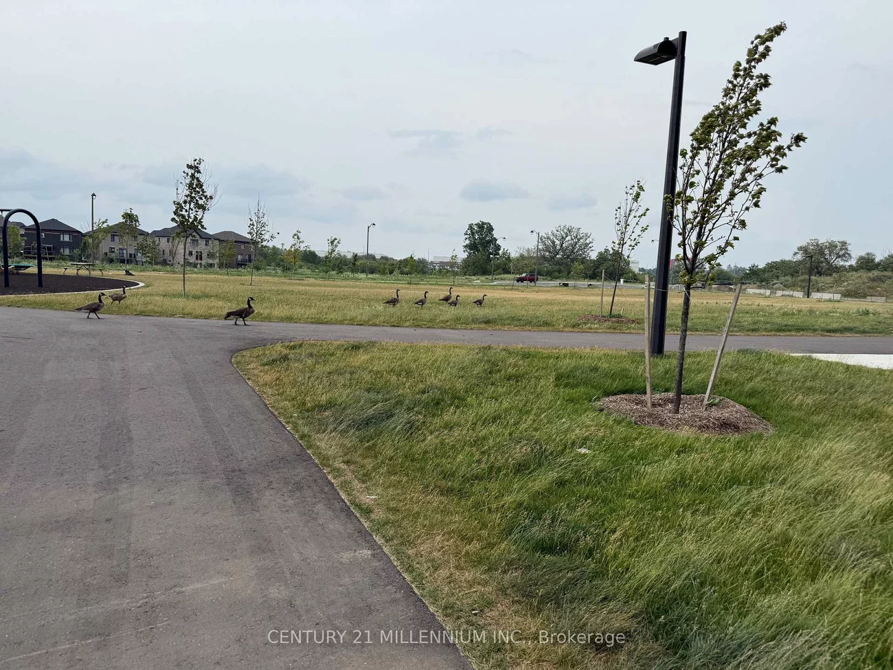15, Skyridge, Bram East, Brampton