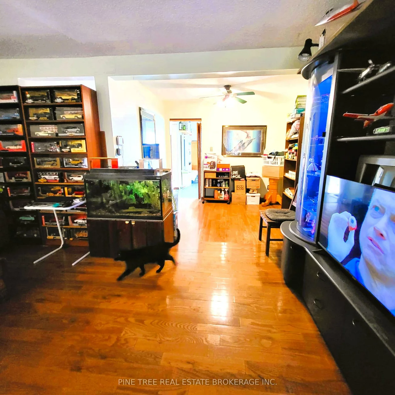 104, Baronwood, Brampton North, Brampton