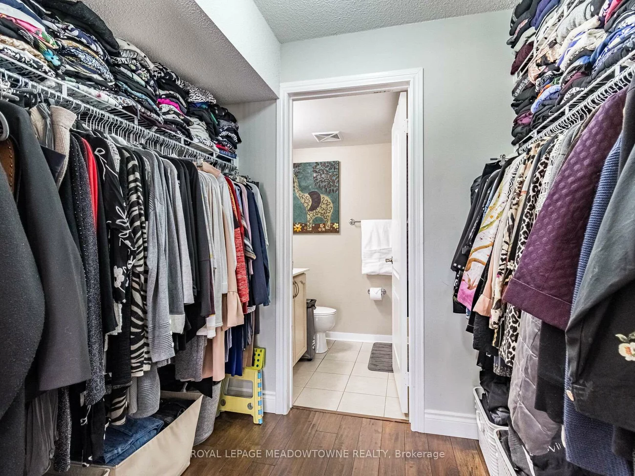 8, Dayspring, Goreway Drive Corridor, Brampton