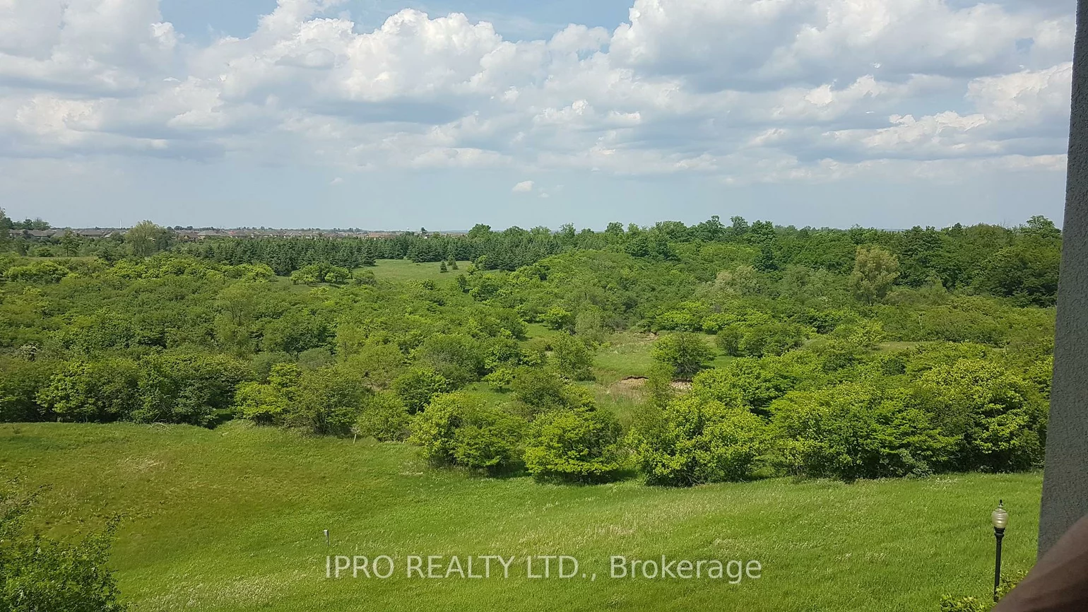 6, Dayspring, Goreway Drive Corridor, Brampton