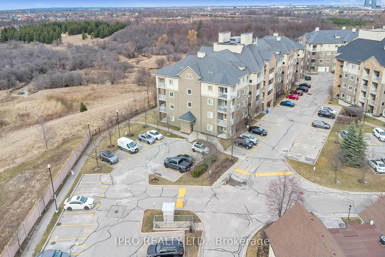 6, Dayspring, Goreway Drive Corridor, Brampton