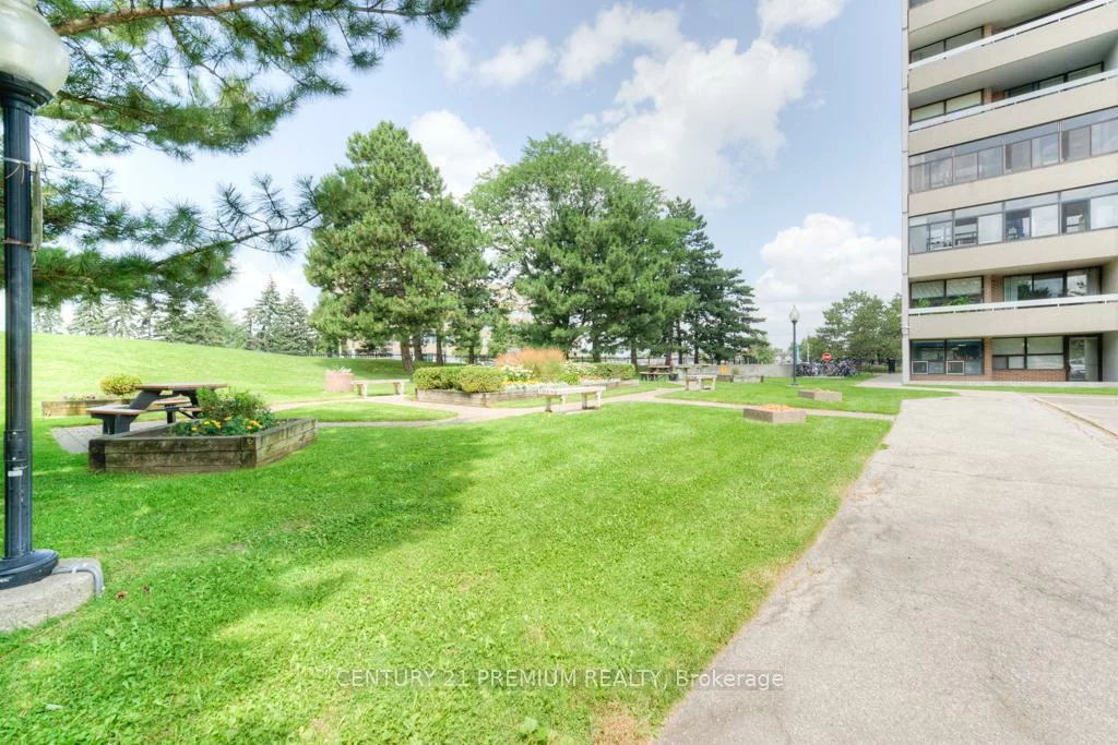 15, Kensington, Queen Street Corridor, Brampton