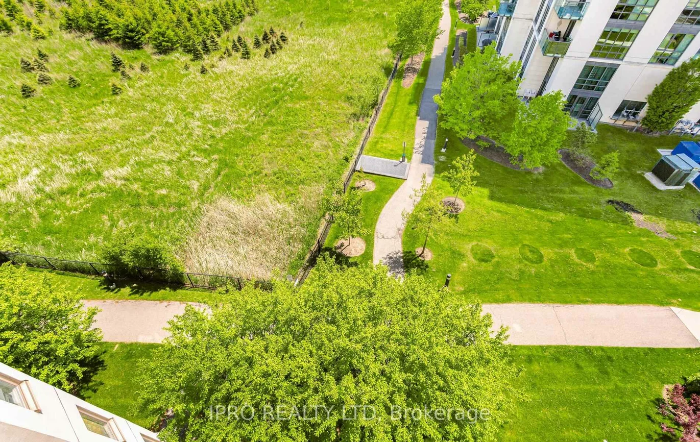 10, Dayspring, Goreway Drive Corridor, Brampton