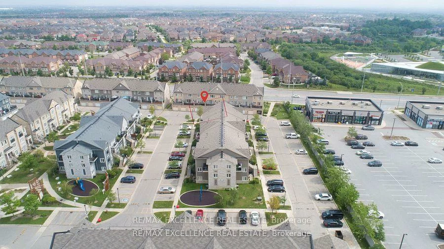 60, Fairwood, Sandringham-Wellington, Brampton