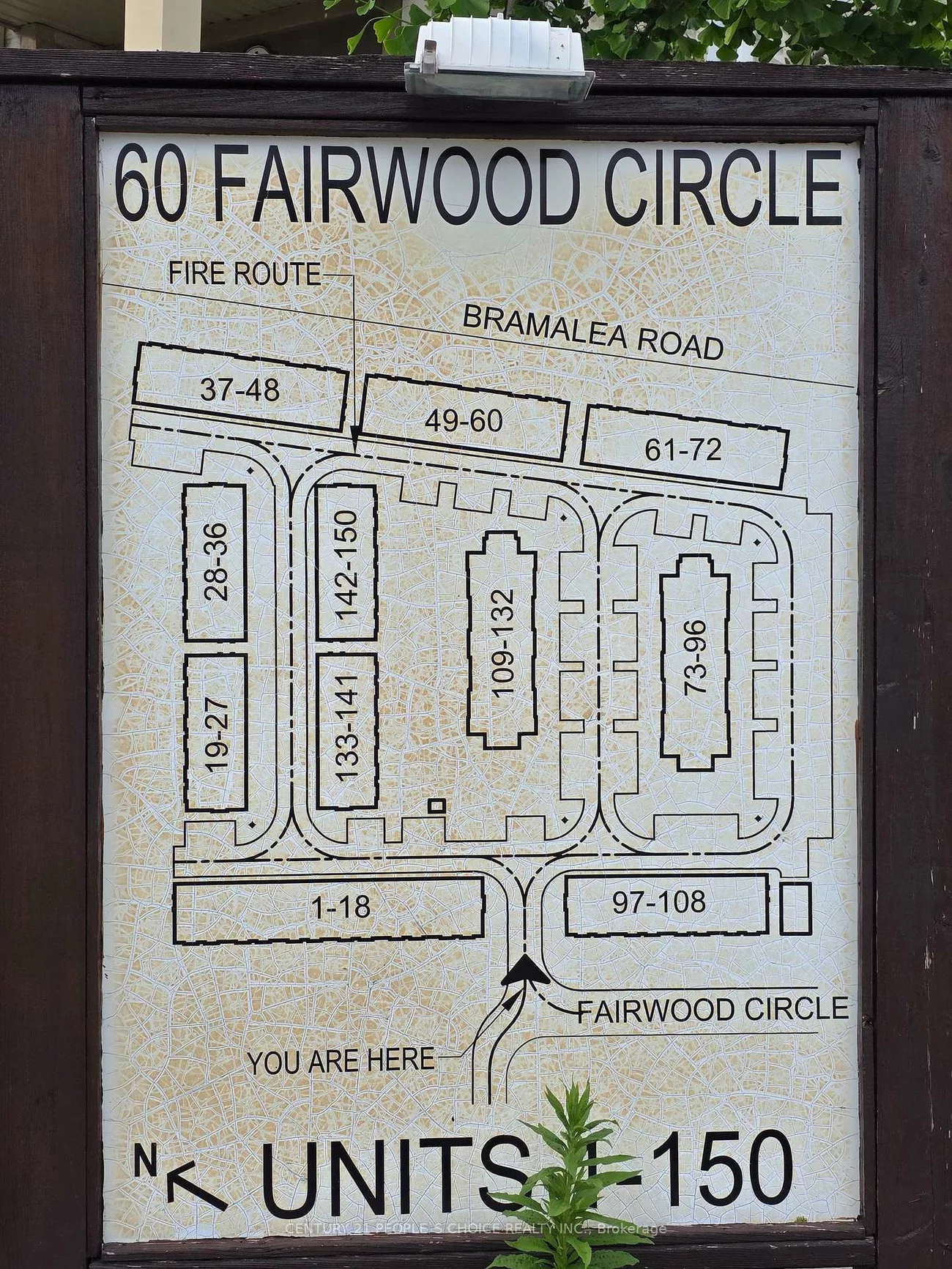 60, Fairwood, Sandringham-Wellington, Brampton