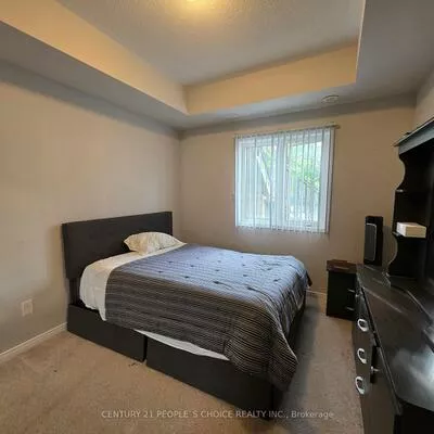 60, Fairwood, Sandringham-Wellington, Brampton