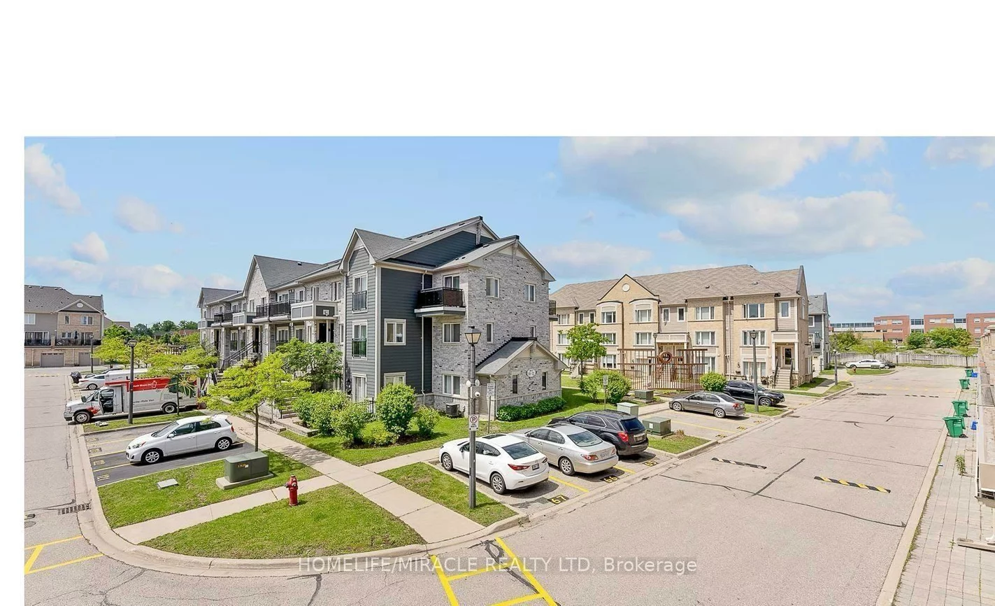 60, Fairwood, Sandringham-Wellington, Brampton
